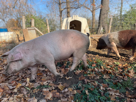 $250 Monthly Farm Membership