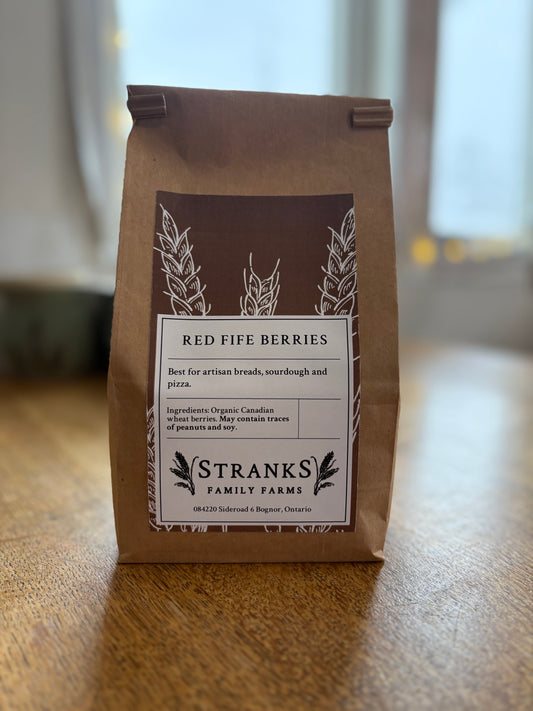 Red Fife Wheat Berries