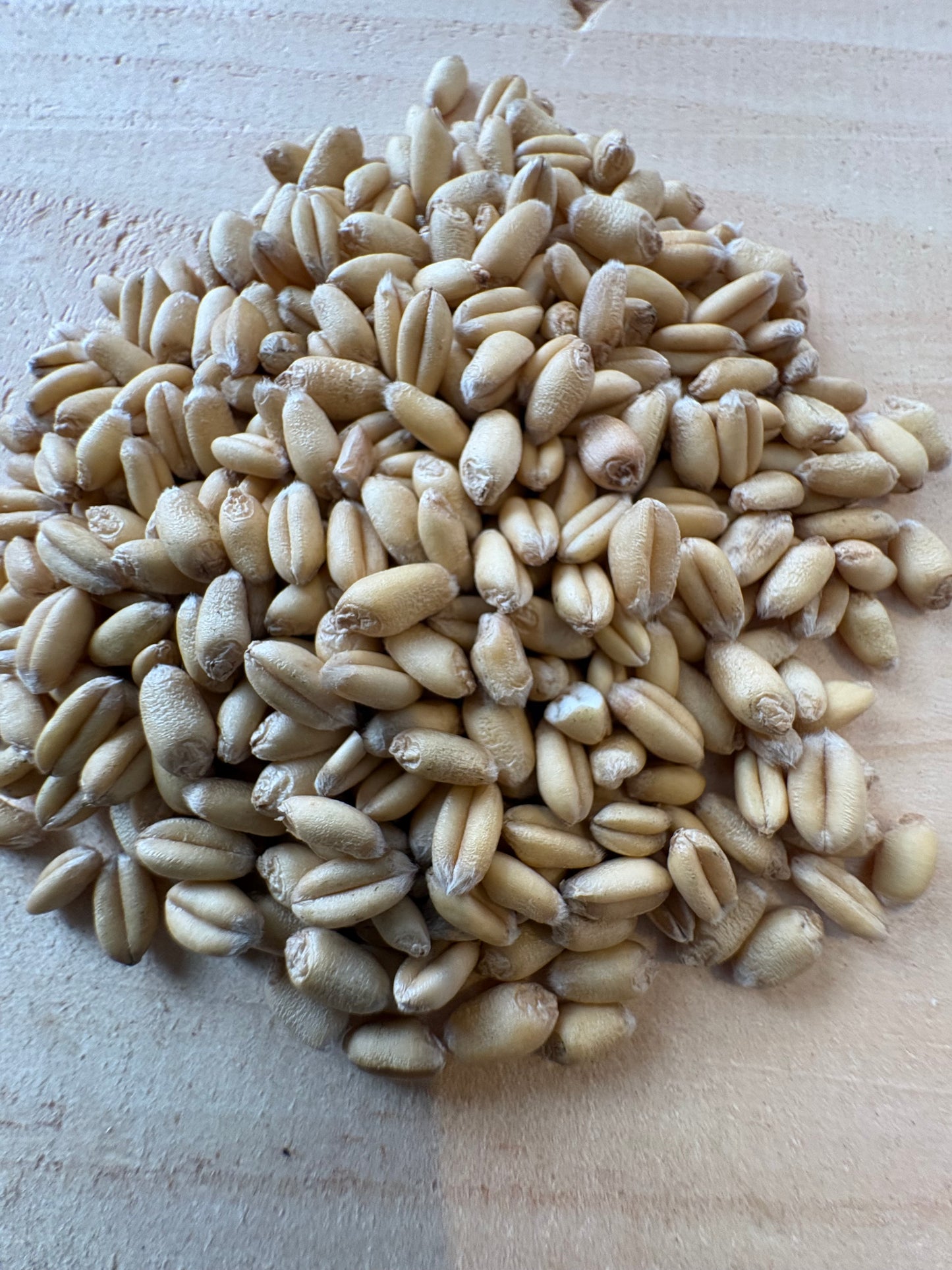 Soft White Wheat Berries