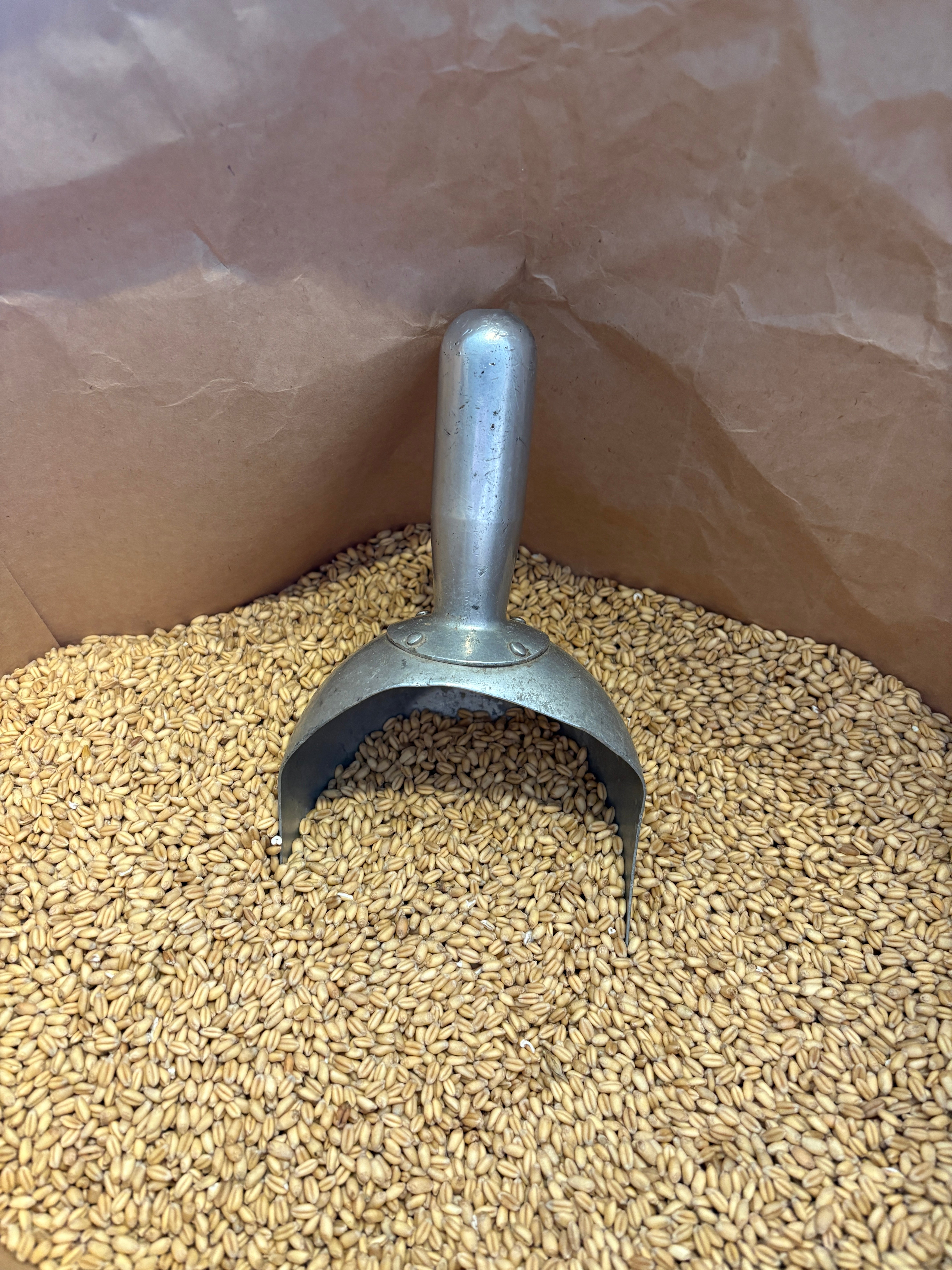 Whole Grains – Stranks Family Farms