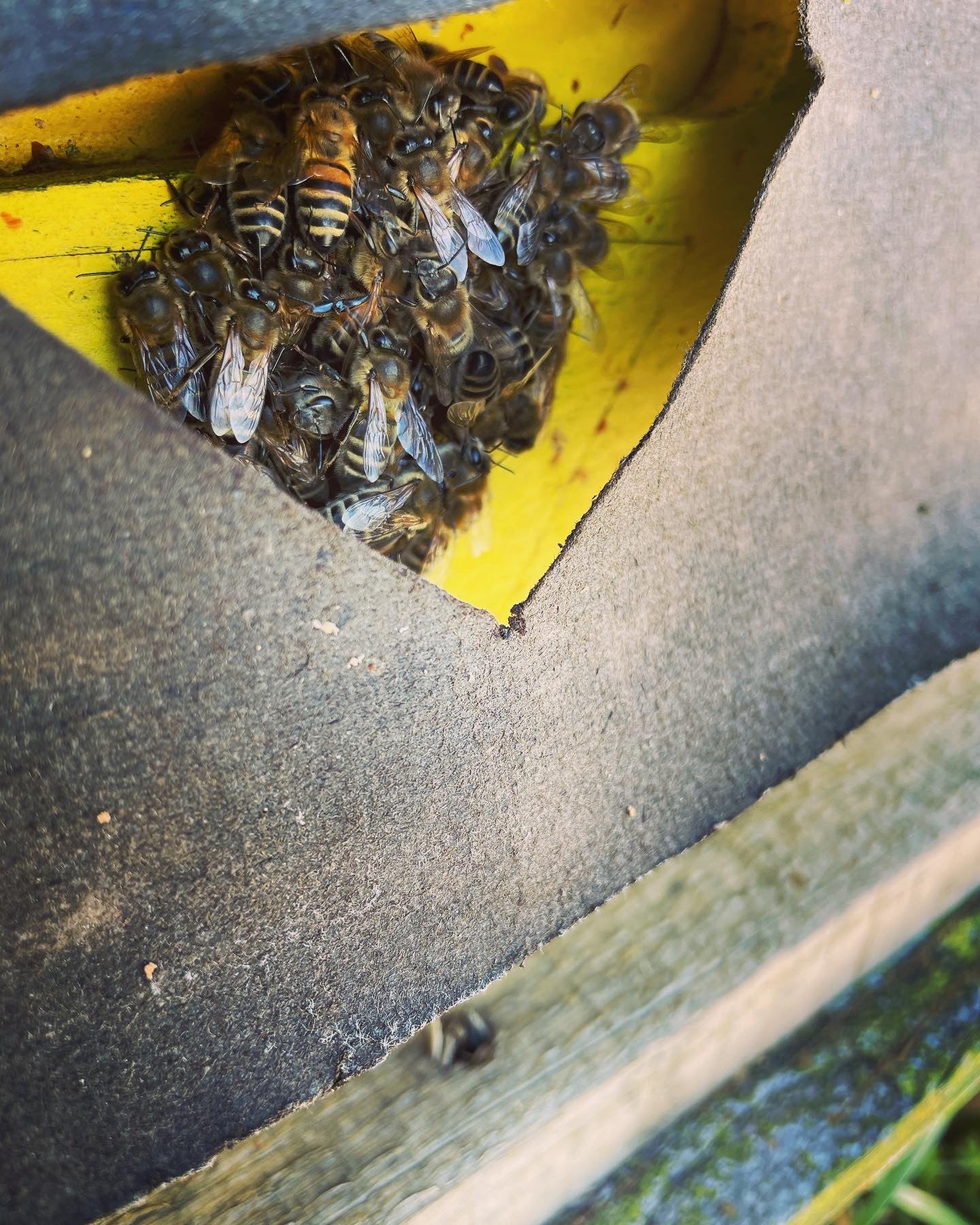 Un-Assembled Beekeeping Equipment