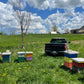 Beginner Beekeeper Class