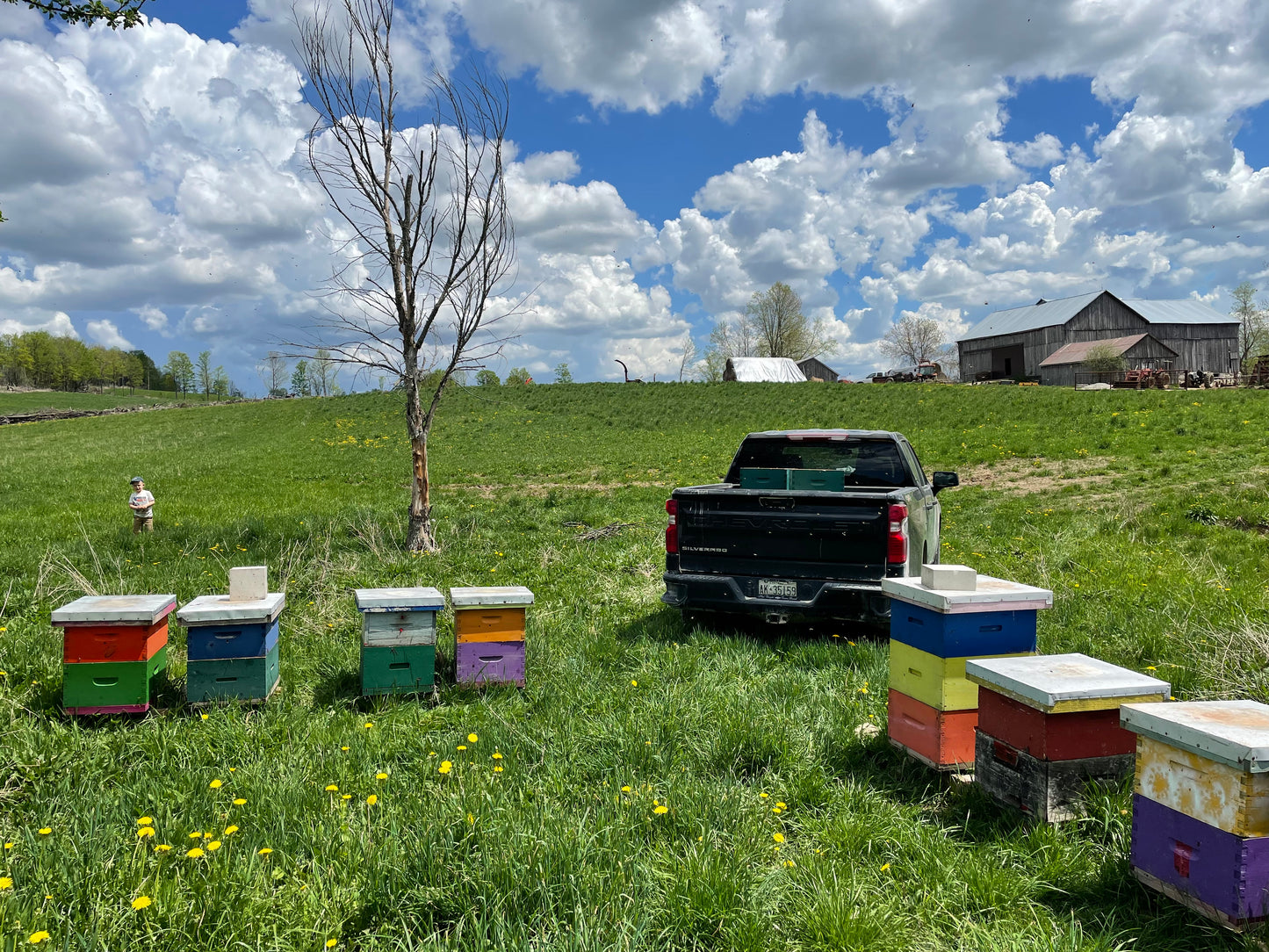 Beginner Beekeeper Class