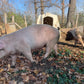 $250 Monthly Farm Membership