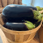 Egg Plant