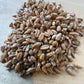 Red Fife Wheat Berries