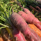 Veggie Box
