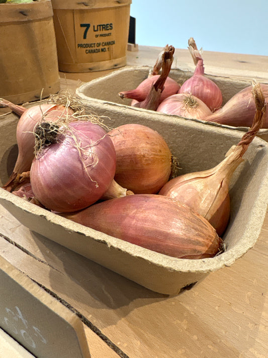 Shallots