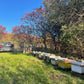 Regenerative Beekeeping Systems