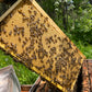 Beekeeping Information Class